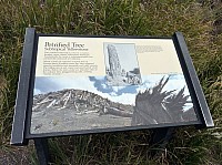 Yellowstone Tower Roosevelt (42).JPG